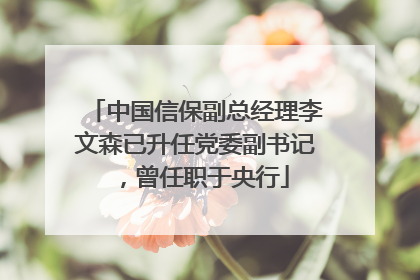 中国信保副总经理李文森已升任党委副书记，曾任职于央行