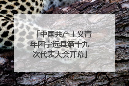 中国共产主义青年团宁远县第十九次代表大会开幕