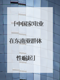 中国家电业在东南亚群体性崛起