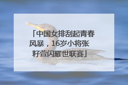 中国女排刮起青春风暴，16岁小将张籽萱闪耀世联赛