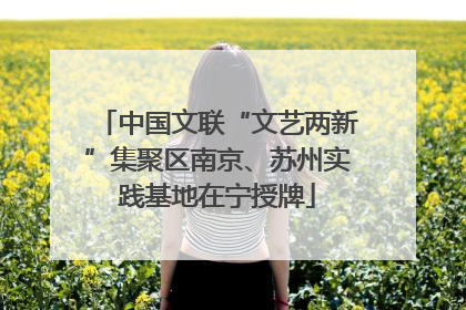 中国文联“文艺两新”集聚区南京、苏州实践基地在宁授牌