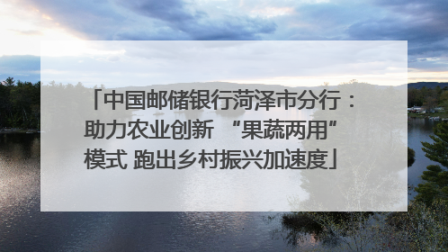 中国邮储银行菏泽市分行：助力农业创新 “果蔬两用”模式 跑出乡村振兴加速度