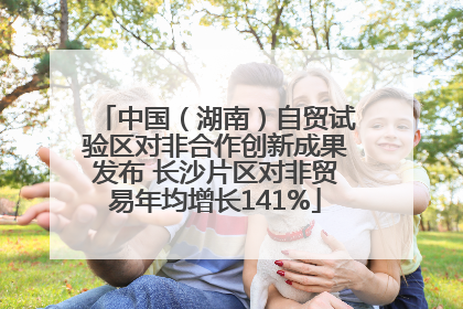 中国（湖南）自贸试验区对非合作创新成果发布 长沙片区对非贸易年均增长141%
