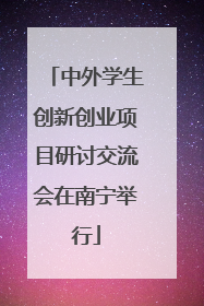 中外学生创新创业项目研讨交流会在南宁举行
