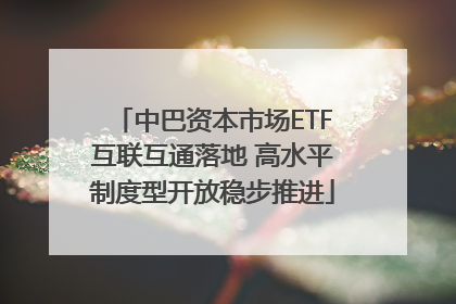中巴资本市场ETF互联互通落地 高水平制度型开放稳步推进