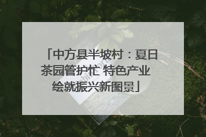 中方县半坡村：夏日茶园管护忙 特色产业绘就振兴新图景