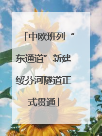 中欧班列“东通道”新建绥芬河隧道正式贯通
