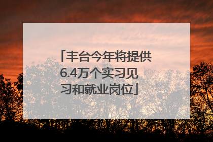 丰台今年将提供6.4万个实习见习和就业岗位