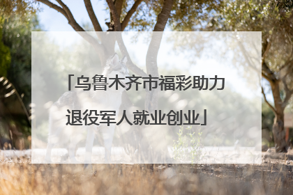乌鲁木齐市福彩助力退役军人就业创业