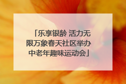 乐享银龄 活力无限万象春天社区举办中老年趣味运动会