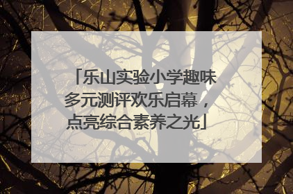 乐山实验小学趣味多元测评欢乐启幕，点亮综合素养之光