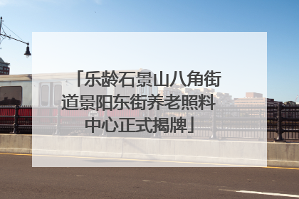 乐龄石景山八角街道景阳东街养老照料中心正式揭牌