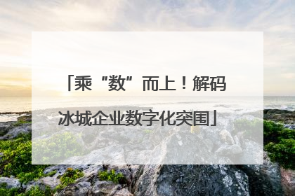 乘“数”而上！解码冰城企业数字化突围