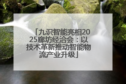 九识智能亮相2025廊坊经洽会：以技术革新推动智能物流产业升级