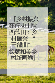 乡村振兴在行动丨陕西蓝田：乡村振兴 “三部曲” 绘就和美乡村新画卷