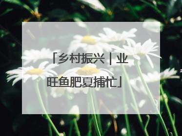 乡村振兴｜业旺鱼肥夏捕忙
