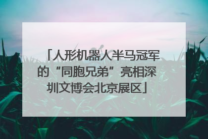 人形机器人半马冠军的“同胞兄弟”亮相深圳文博会北京展区