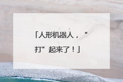 人形机器人，“打”起来了！