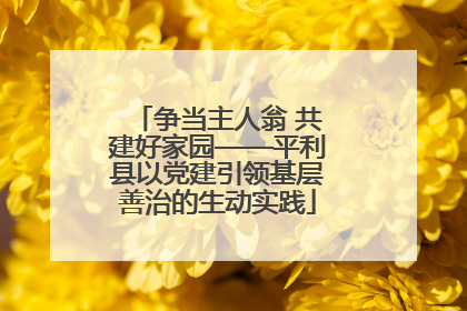 争当主人翁 共建好家园——平利县以党建引领基层善治的生动实践