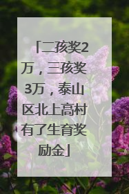 二孩奖2万，三孩奖3万，泰山区北上高村有了生育奖励金