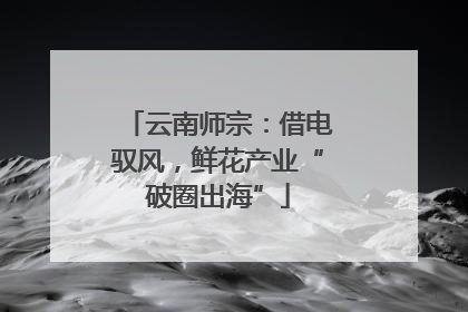 云南师宗：借电驭风，鲜花产业“破圈出海”