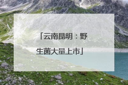 云南昆明：野生菌大量上市