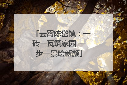 云霄陈岱镇：一砖一瓦筑家园 一步一景绘新颜