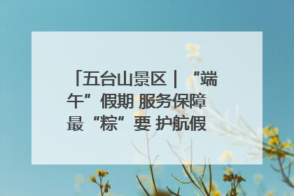 五台山景区｜“端午”假期 服务保障最“粽”要 护航假期“不打烊”