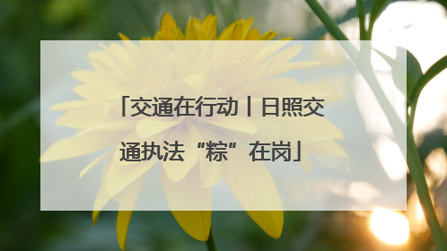 交通在行动丨日照交通执法“粽”在岗