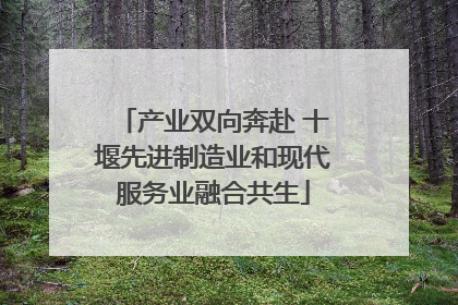 产业双向奔赴 十堰先进制造业和现代服务业融合共生