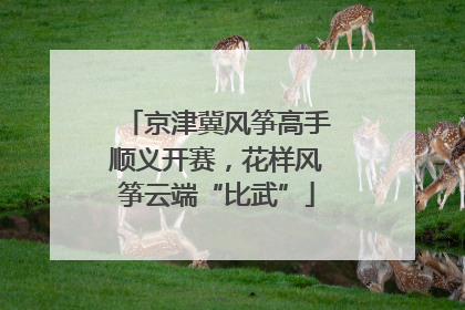 京津冀风筝高手顺义开赛，花样风筝云端“比武”