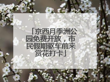京西月季洲公园免费开放，市民假期驱车前来赏花打卡