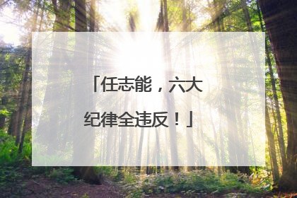 任志能，六大纪律全违反！