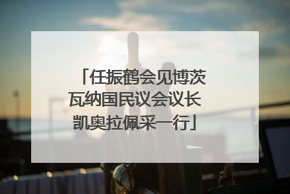任振鹤会见博茨瓦纳国民议会议长凯奥拉佩采一行