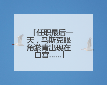 任职最后一天，马斯克眼角淤青出现在白宫……
