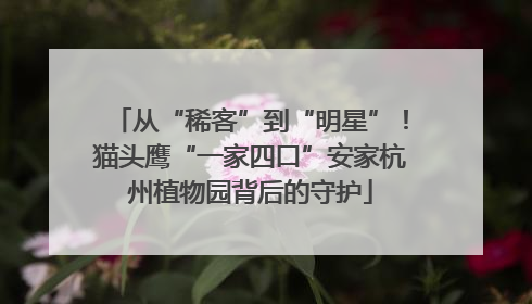 从“稀客”到“明星”！猫头鹰“一家四口”安家杭州植物园背后的守护