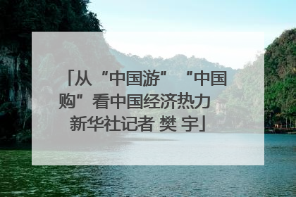 从“中国游”“中国购”看中国经济热力 新华社记者 樊 宇