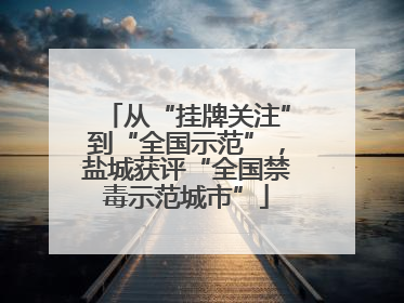 从“挂牌关注”到“全国示范”，盐城获评“全国禁毒示范城市”