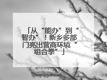 从“能办”到“智办”！新乡多部门亮出营商环境“组合拳”