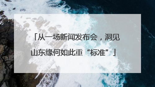 从一场新闻发布会，洞见山东缘何如此重“标准”
