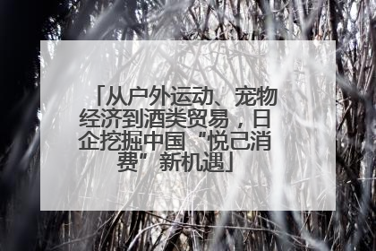 从户外运动、宠物经济到酒类贸易，日企挖掘中国“悦己消费”新机遇