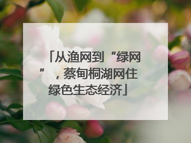 从渔网到“绿网”，蔡甸桐湖网住绿色生态经济