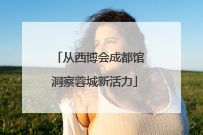 从西博会成都馆洞察蓉城新活力