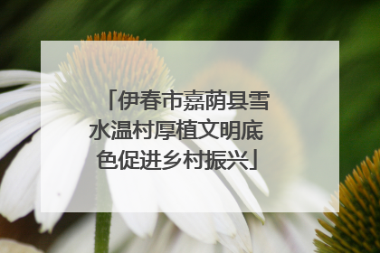 伊春市嘉荫县雪水温村厚植文明底色促进乡村振兴