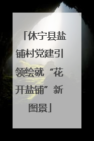 休宁县盐铺村党建引领绘就“花开盐铺”新图景