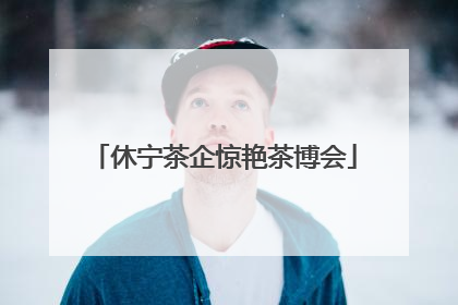 休宁茶企惊艳茶博会