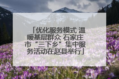 优化服务模式 温暖基层群众 石家庄市“三下乡”集中服务活动在赵县举行