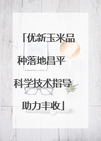 优新玉米品种落地昌平 科学技术指导助力丰收
