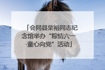 会同县粟裕同志纪念馆举办“粽情六一·童心向党”活动