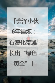 会泽小伙6年锤炼：石漠化荒滩长出“绿色黄金”